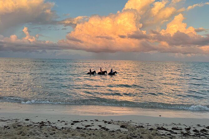 Sunset Horse Ride Experience - Drinks, Alcohol, and the Celebration Details