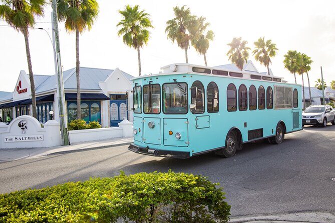 Trolley Island Tour: Conch Show, Full Lunch, History, 3.5 hours - Key Things You’ll Notice on This Providenciales Trolley Tour