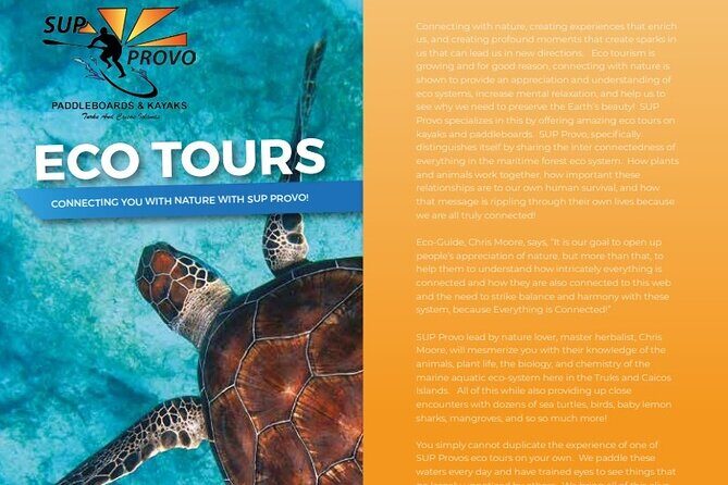 Turtle Eco Tour on Stand-Up Paddleboards or Kayaks into the National Marine Park - SUP vs kayak on a 12-foot board: picking the better experience