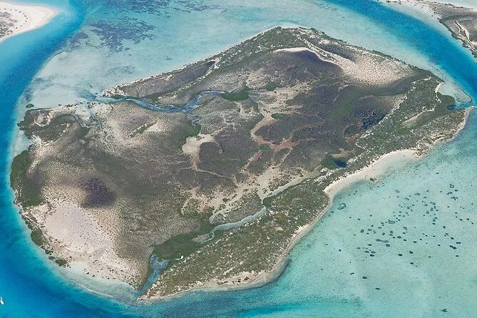 Turtle Eco Tour on Stand-Up Paddleboards or Kayaks into the National Marine Park - Timing with tides: why your departure time can change daily