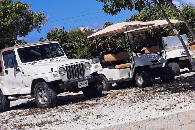 Watkins UTV American Golf Cart Rentals - Who this works best for (and who should consider alternatives)